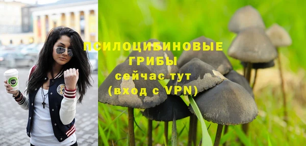 СК Верхний Тагил