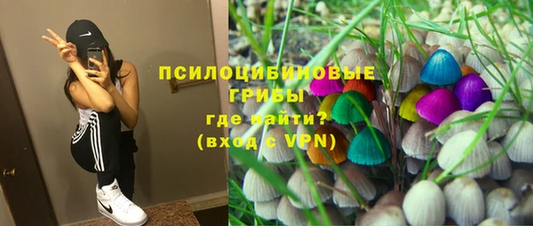 СК Верхний Тагил
