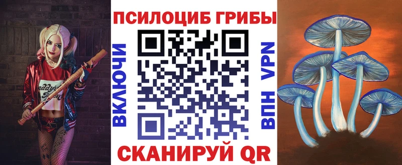 Купить закладки  Старица  Галлюциногенные грибы Cubensis 